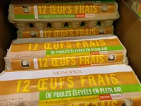 Œufs frais de poules élevées en plein air