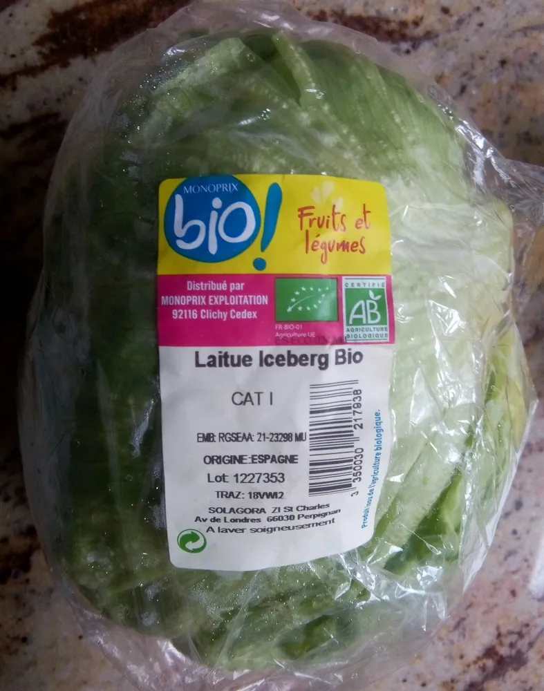 Laitue iceberg bio