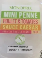 Mini penne