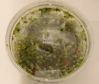 Salade composée