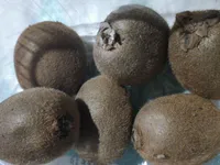 Kiwi Hayward