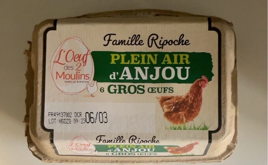 PLEIN AIR d'ANJOU 6 GROS ŒUFS