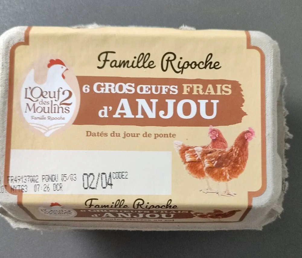 6 GROS ŒUFS FRAIS d'ANJOU