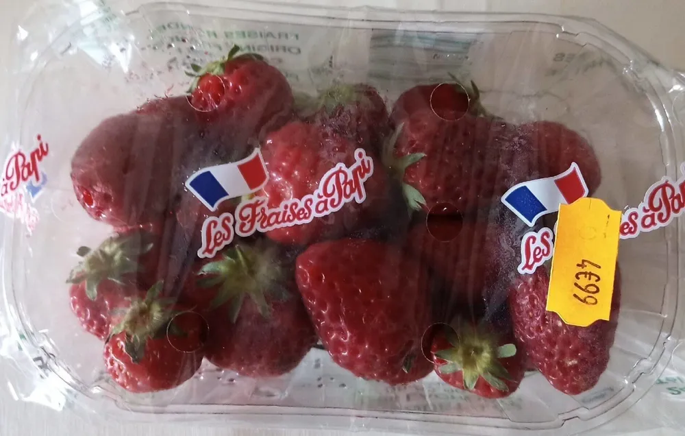 Fraises rondes