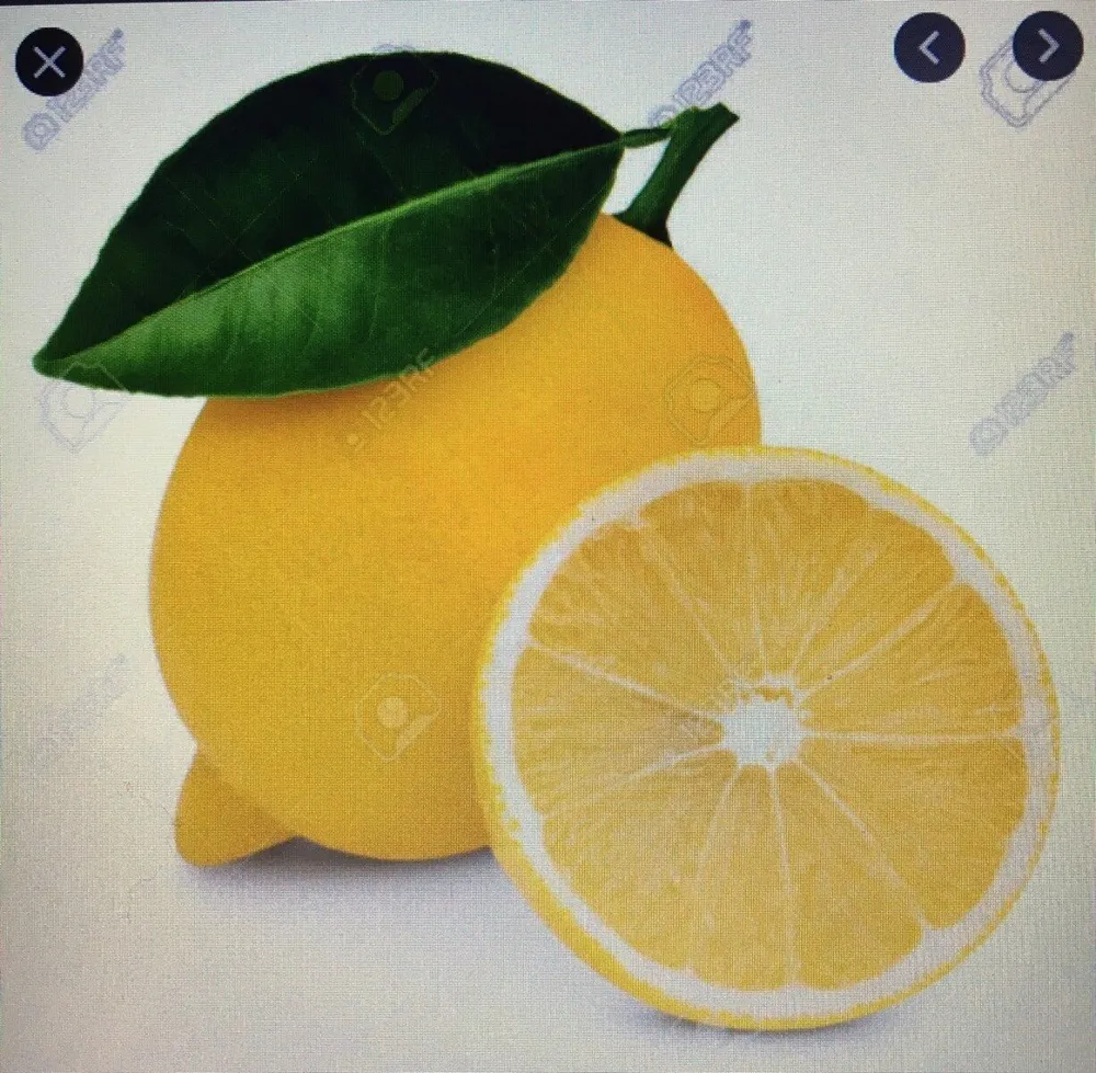 Groot Lemon