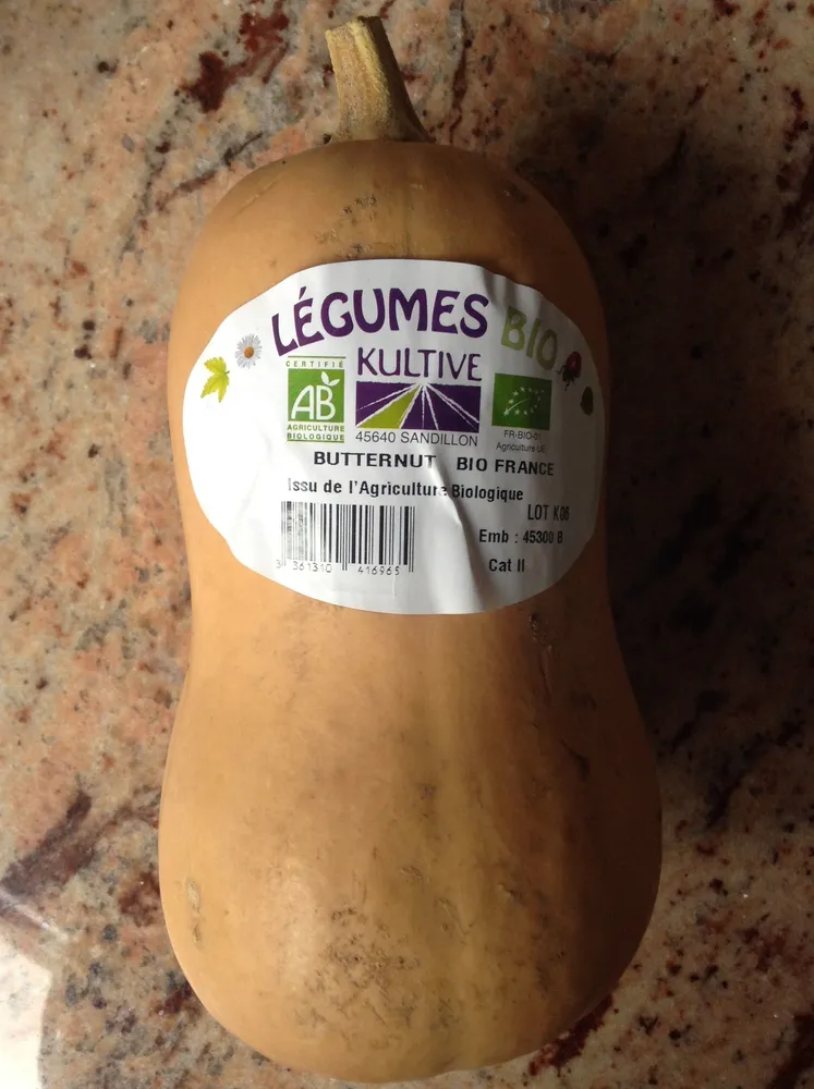 Butternut