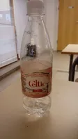 EAU FORTE 0.5L CELTIC BTL PET