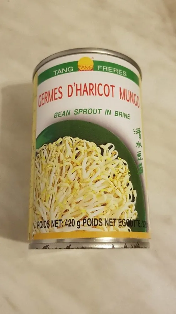 Germe d haricot mungo