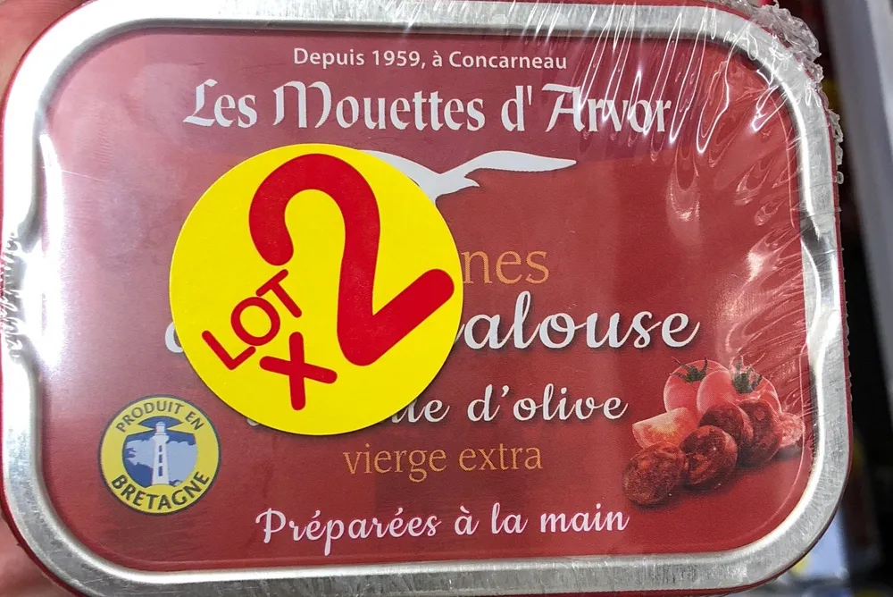 Les mouettes d'arvor