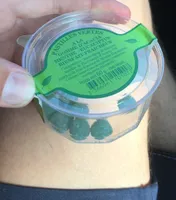 Regalis Pastilles Vertes Bienfait Fraicheur