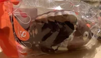 Poisson Chocolat au lait