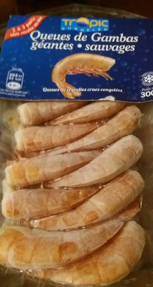 Queue de gambas géantes sauvages