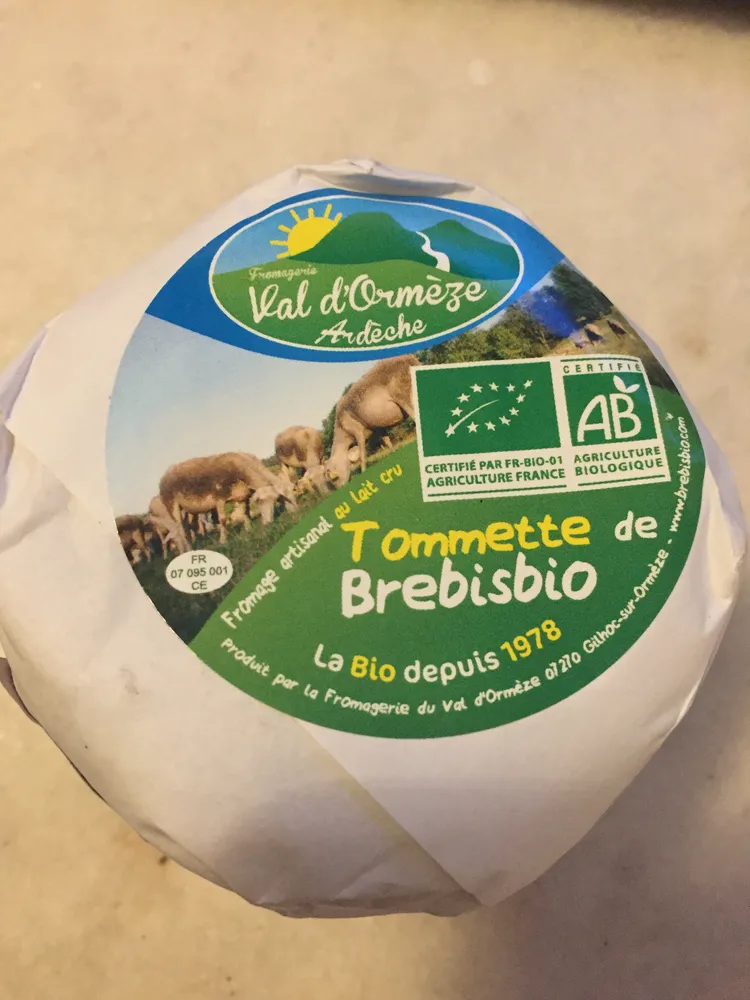 Tommette Brebis
