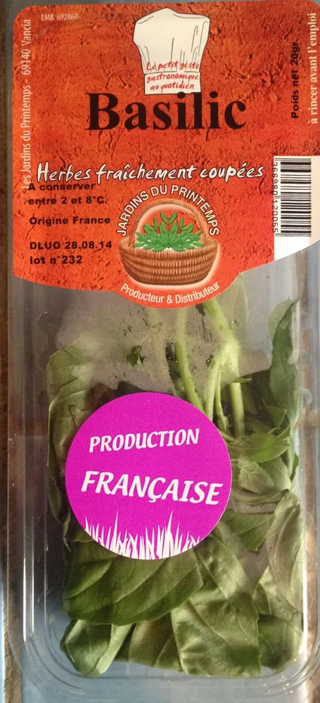 Basilic