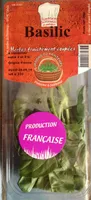 Basilic