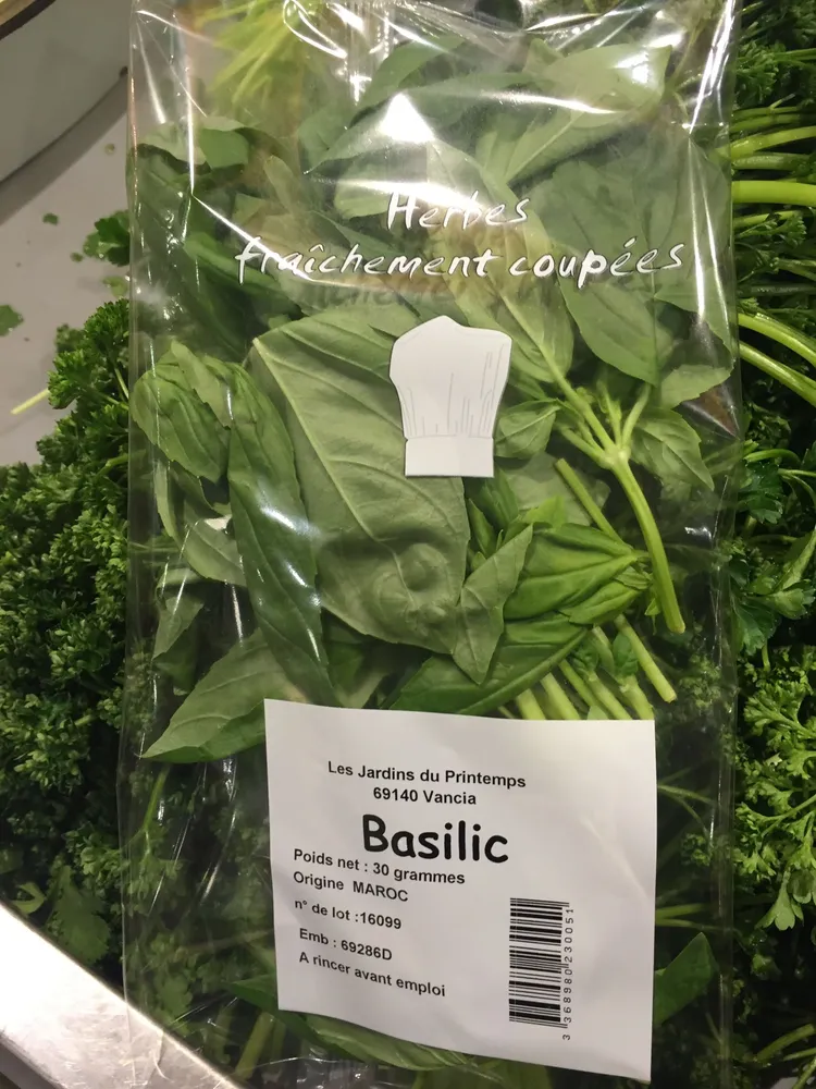 Basilic