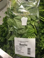 Basilic