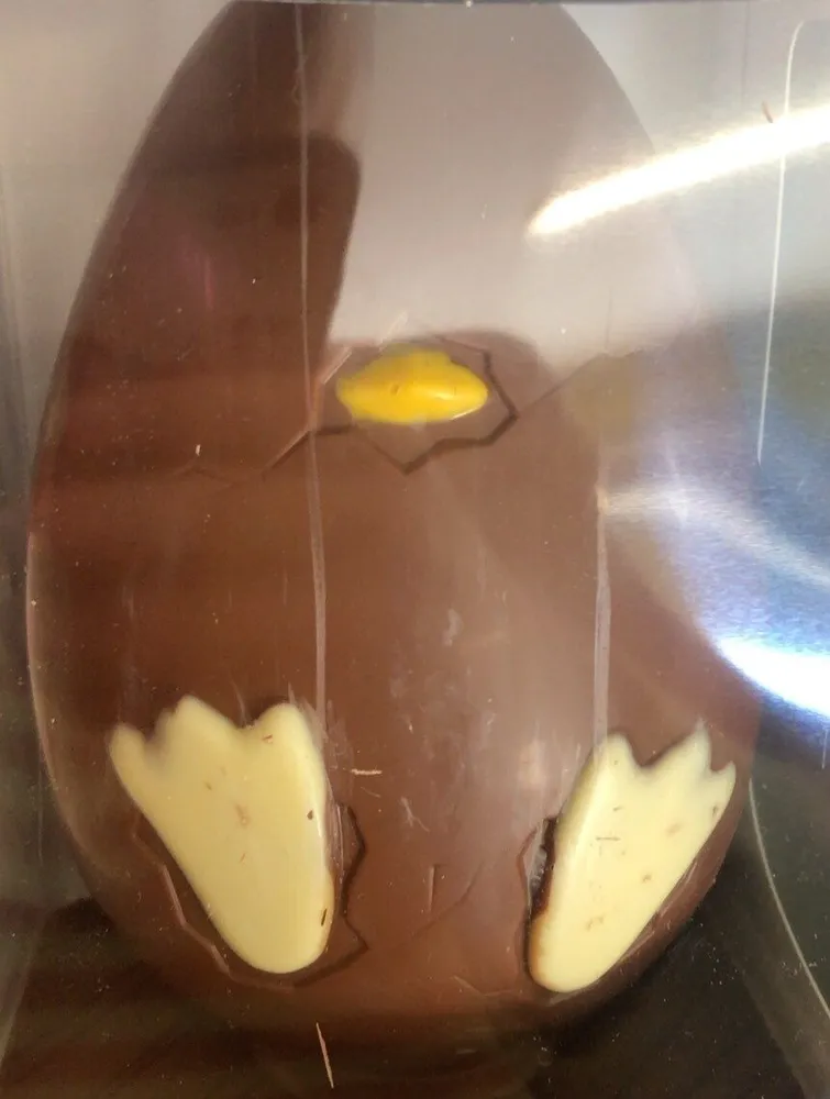Oeufs poussins