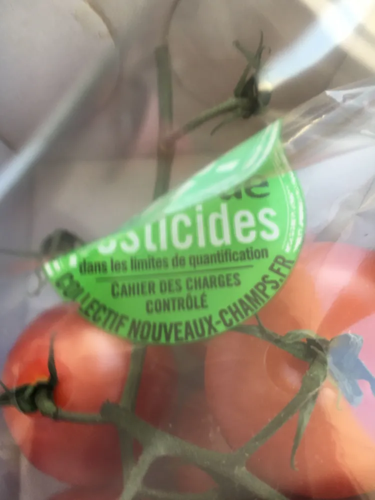 Tomate cocktail en grappe, barquette de