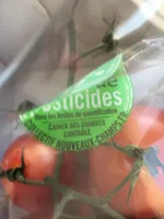Tomate cocktail en grappe, barquette de