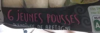 Endives