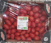 Tomate cerise allongée BIO