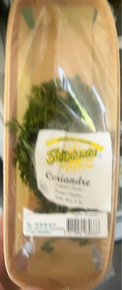 Coriande