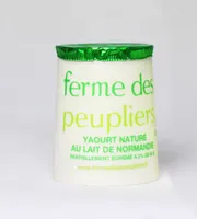 Yaourt nature au lait partiellement écrémé