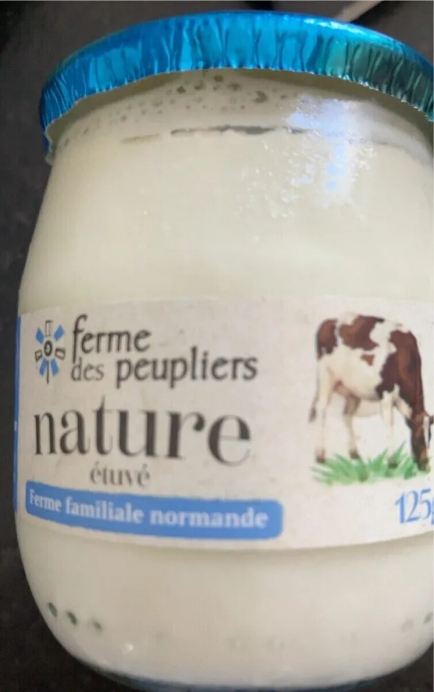 Yaourt nature