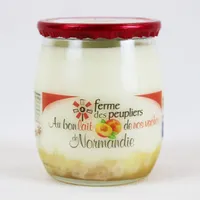 Yaourt pêche