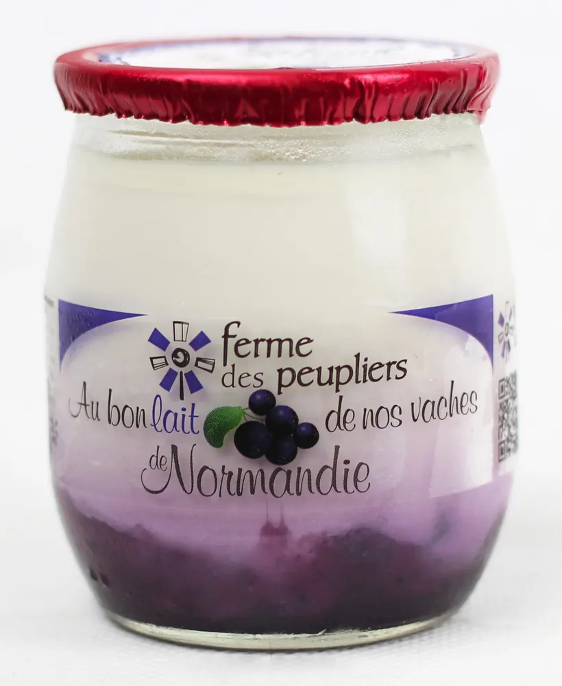 Yahourt a la myrtille