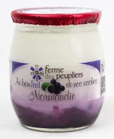 Yahourt a la myrtille
