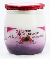 Yaourt fruits des bois
