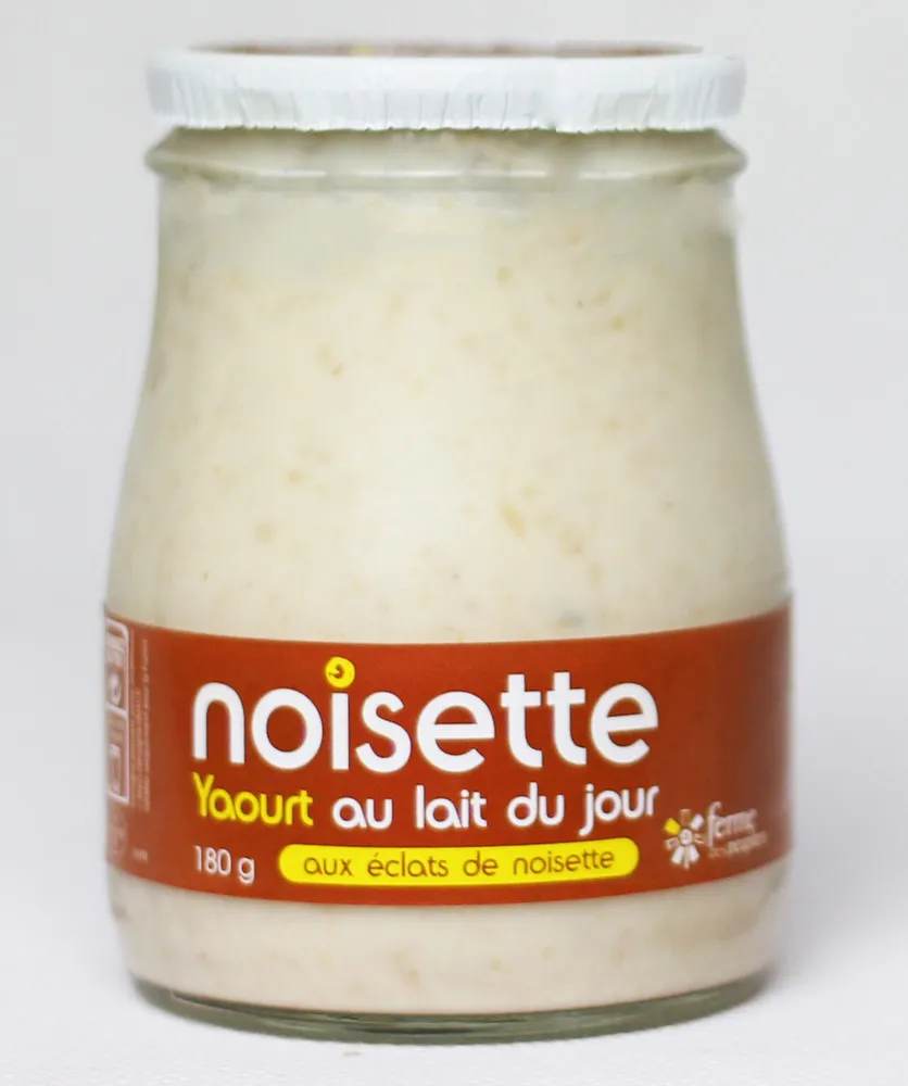 Yaourt au lait du jour noisette