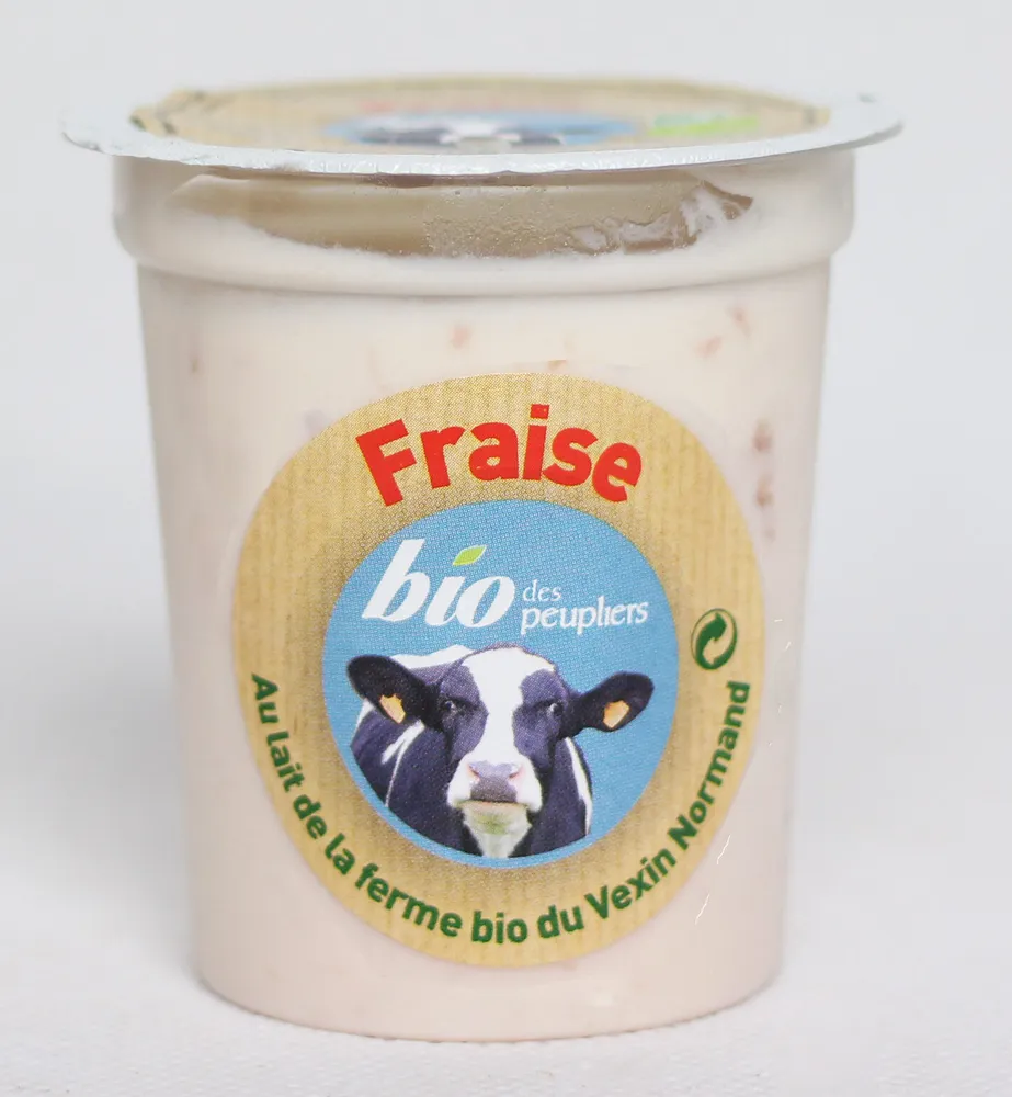 Yaourt brassé fraise bio