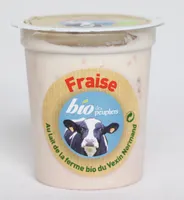 Yaourt brassé fraise bio