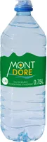 MONT DORE 0.75 l Eau de source