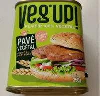 Pavé végétal