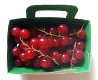 Groseilles rouges