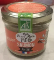 Mousse de saumon et aneth