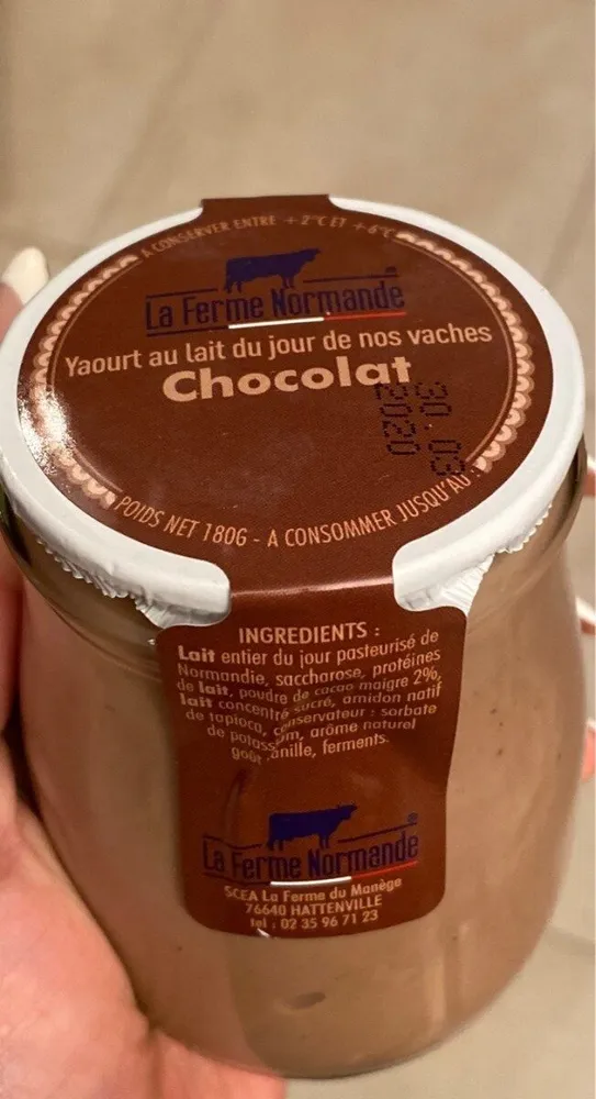 Yaourt chocolat