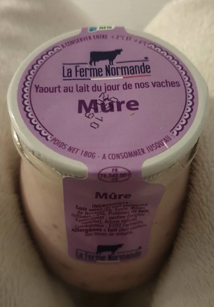 Yogourt au lait du jour de nos vaches - Mûre