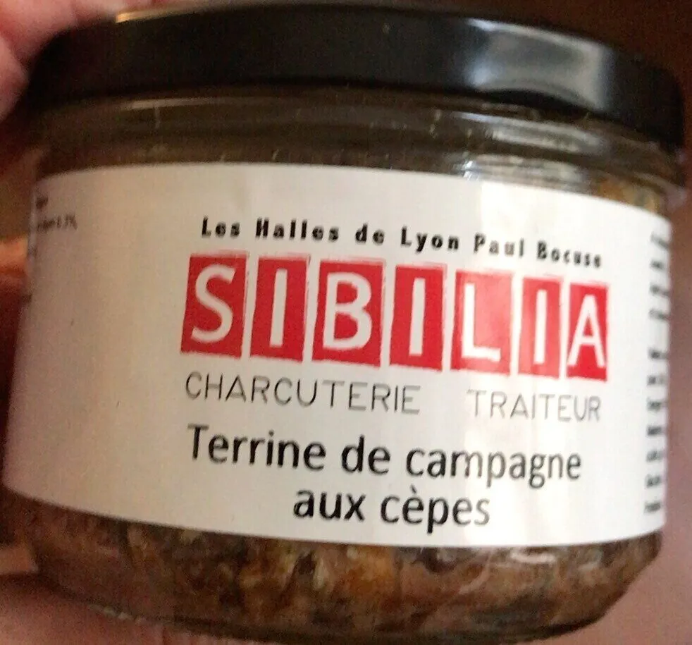 Terrine de campagne aux cèpes