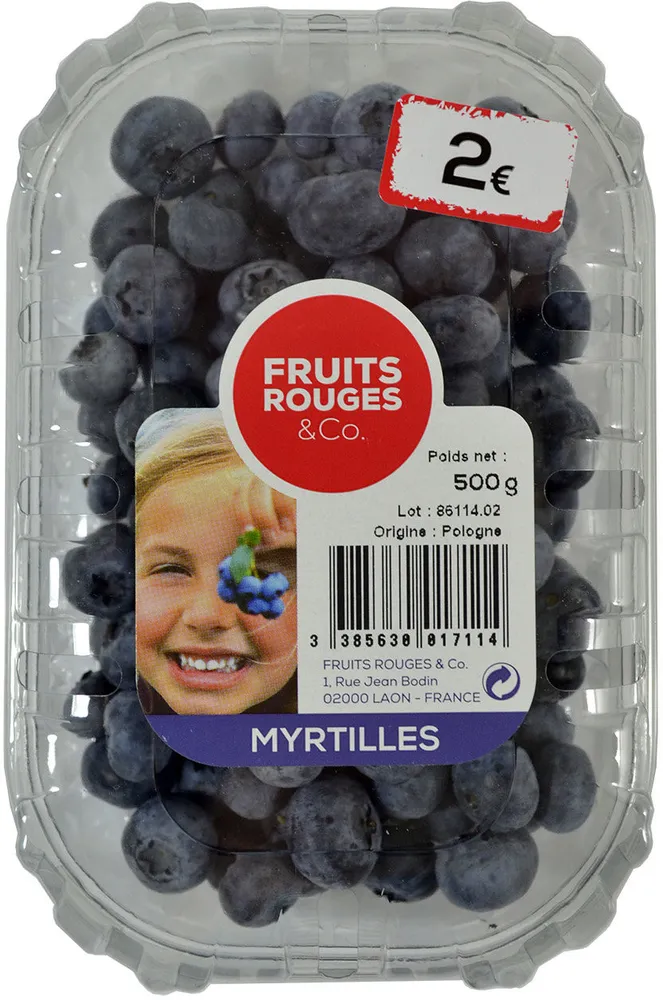 Myrtilles