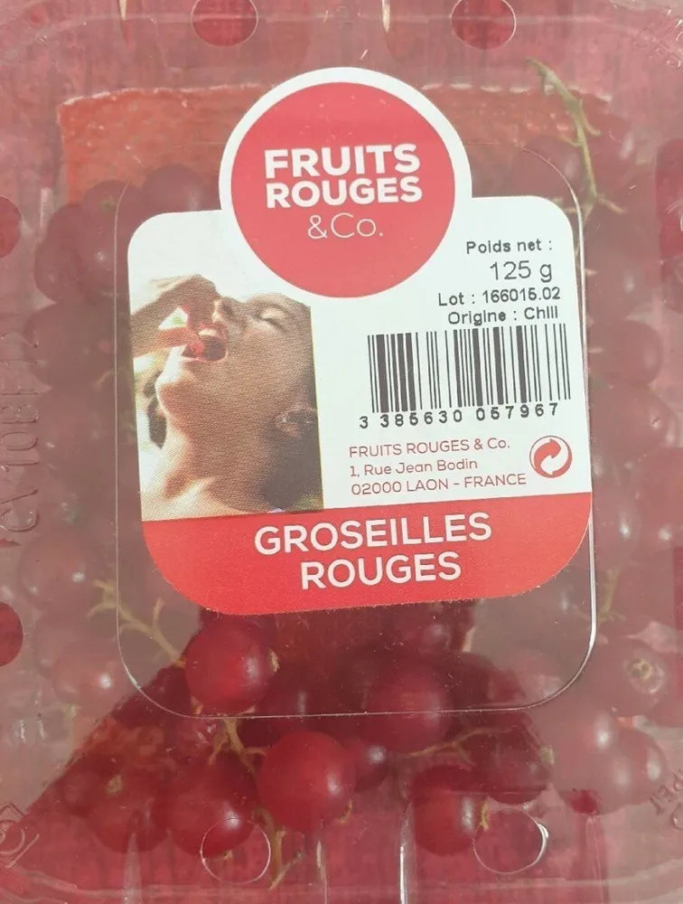 Groseilles rouges