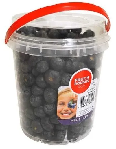 Seau Myrtilles