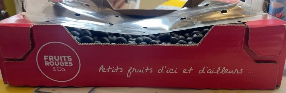 Myrtilles