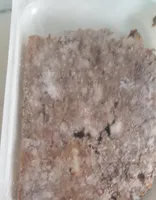 Pâté de campagne sans additif sans conservateur
