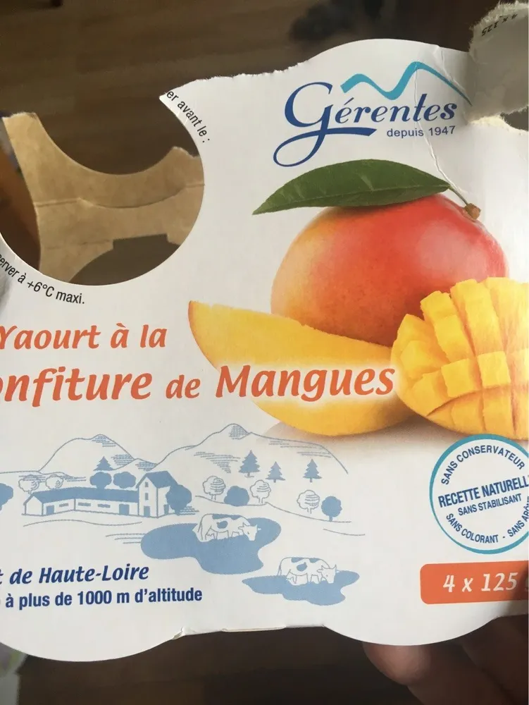 Yaourt à la confiture de mangue