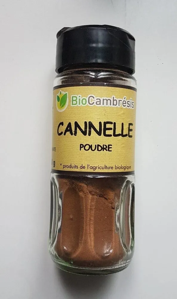 Cannelle en poudre
